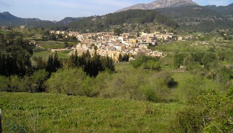 Coneix Puigpunyent