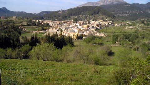 Puigpunyent