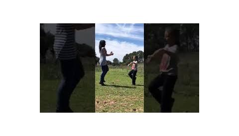 Ball de bot