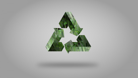 Reciclar