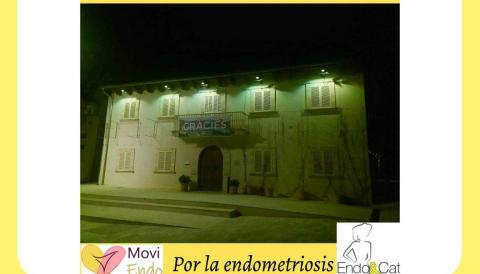 EndoCat