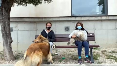 viatge d'estudis