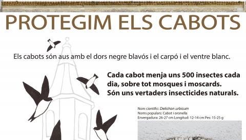 CARTELL PROTEGIM ELS CABOTS