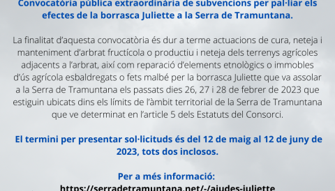 SUBVENCIONS BORRASCA JULIETTE
