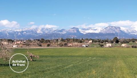 UOM a Mallorca 2025