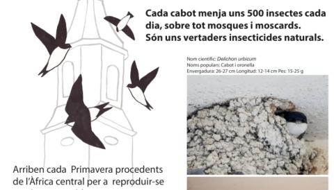 cabots