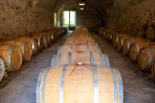 Bodegues es Puig